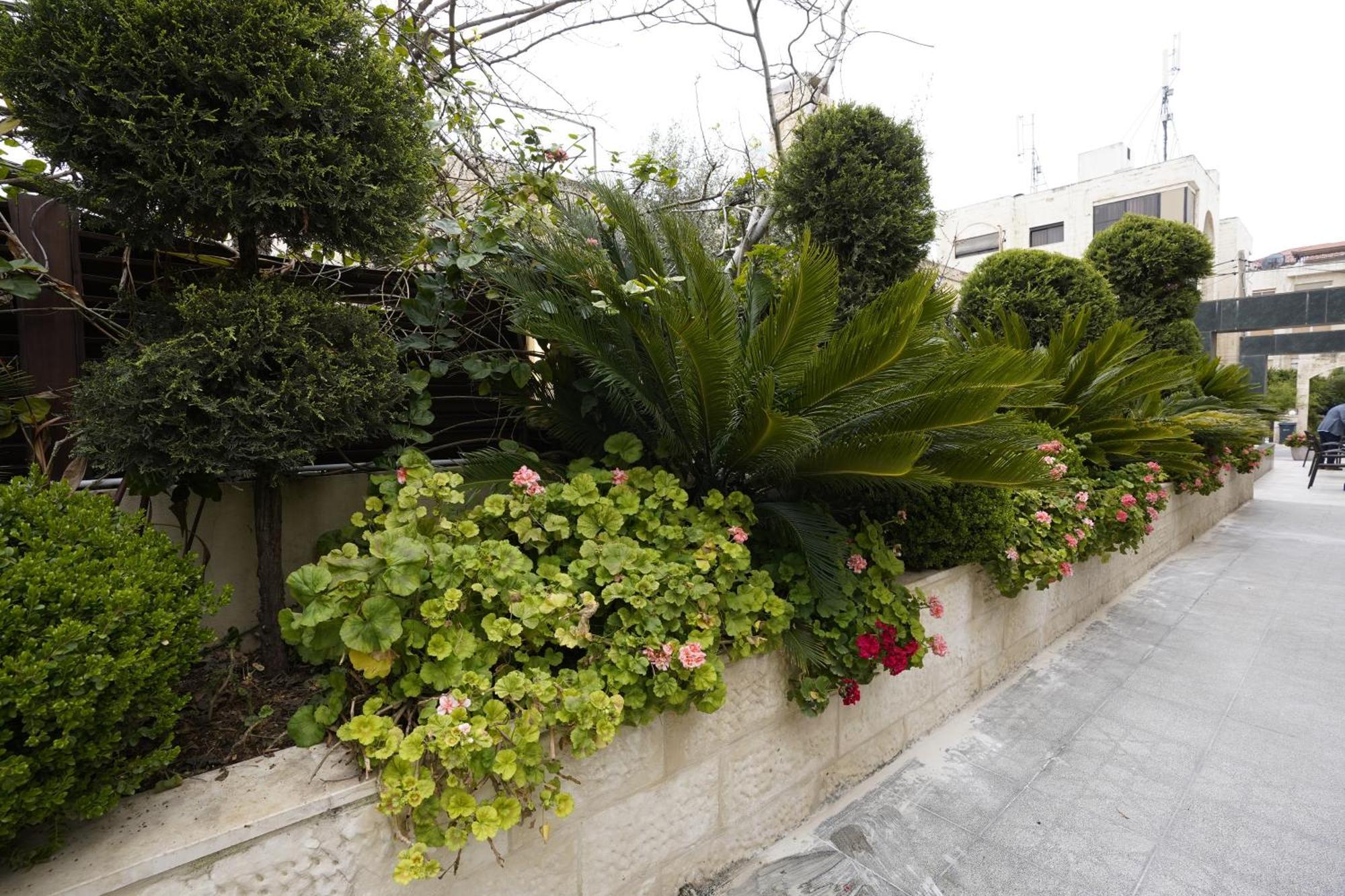 Naylover Hotel Suites Amman Exterior photo