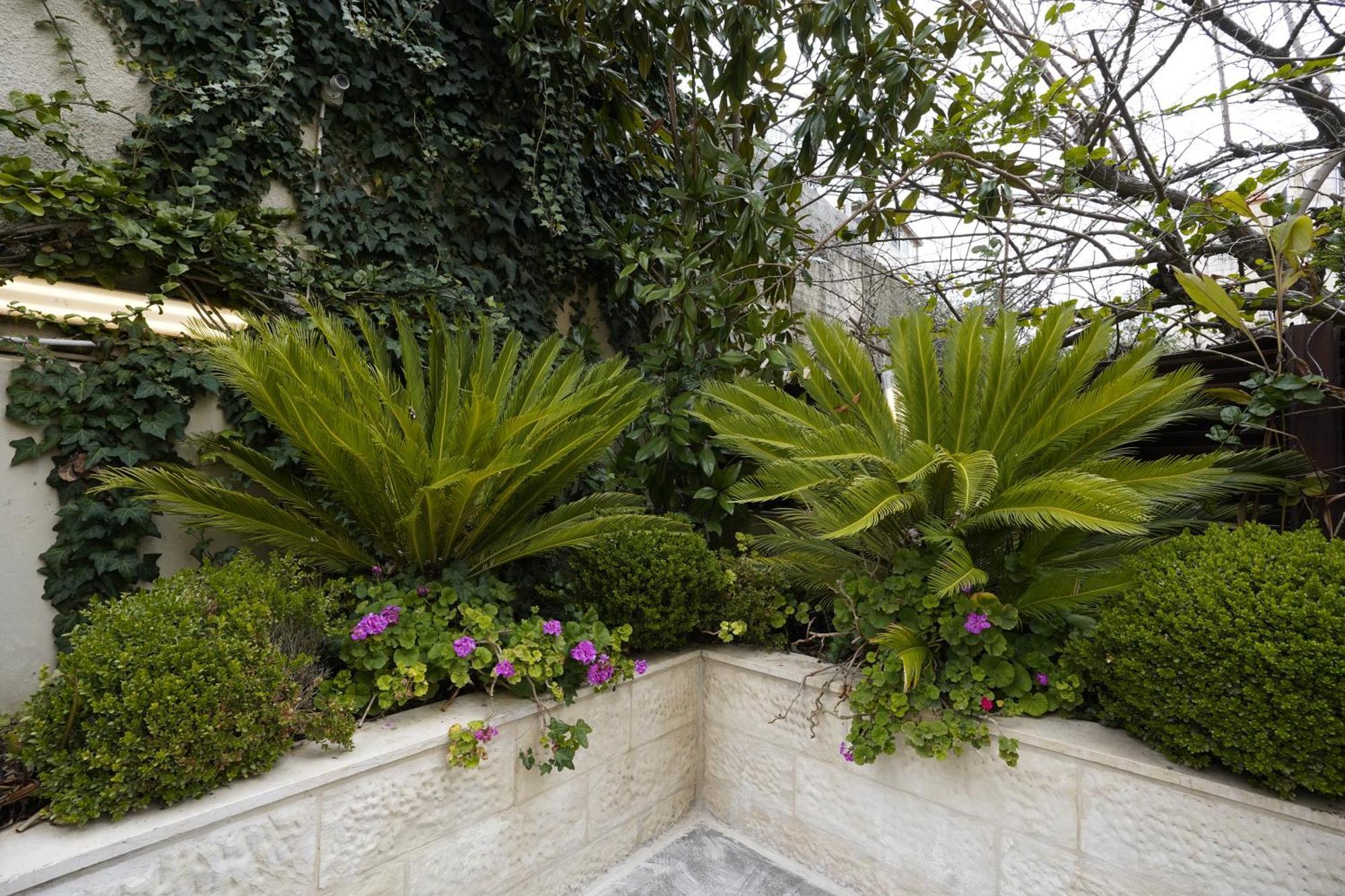 Naylover Hotel Suites Amman Exterior photo